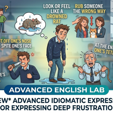 Beyond I'm Angry Master Advanced English Idioms for Deep Exasperation