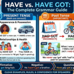 Present simple: 'have got'