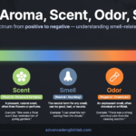 The Art of Smell Mastering the Nuances of Smell, Aroma, Scent, Odor & Stench