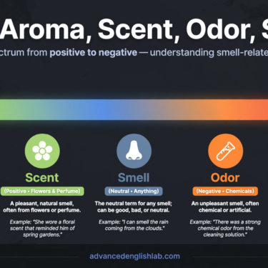 The Art of Smell Mastering the Nuances of Smell, Aroma, Scent, Odor & Stench