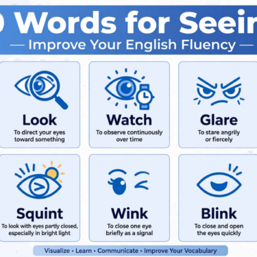 verbs for seeing in English