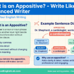 What Is an Appositive
