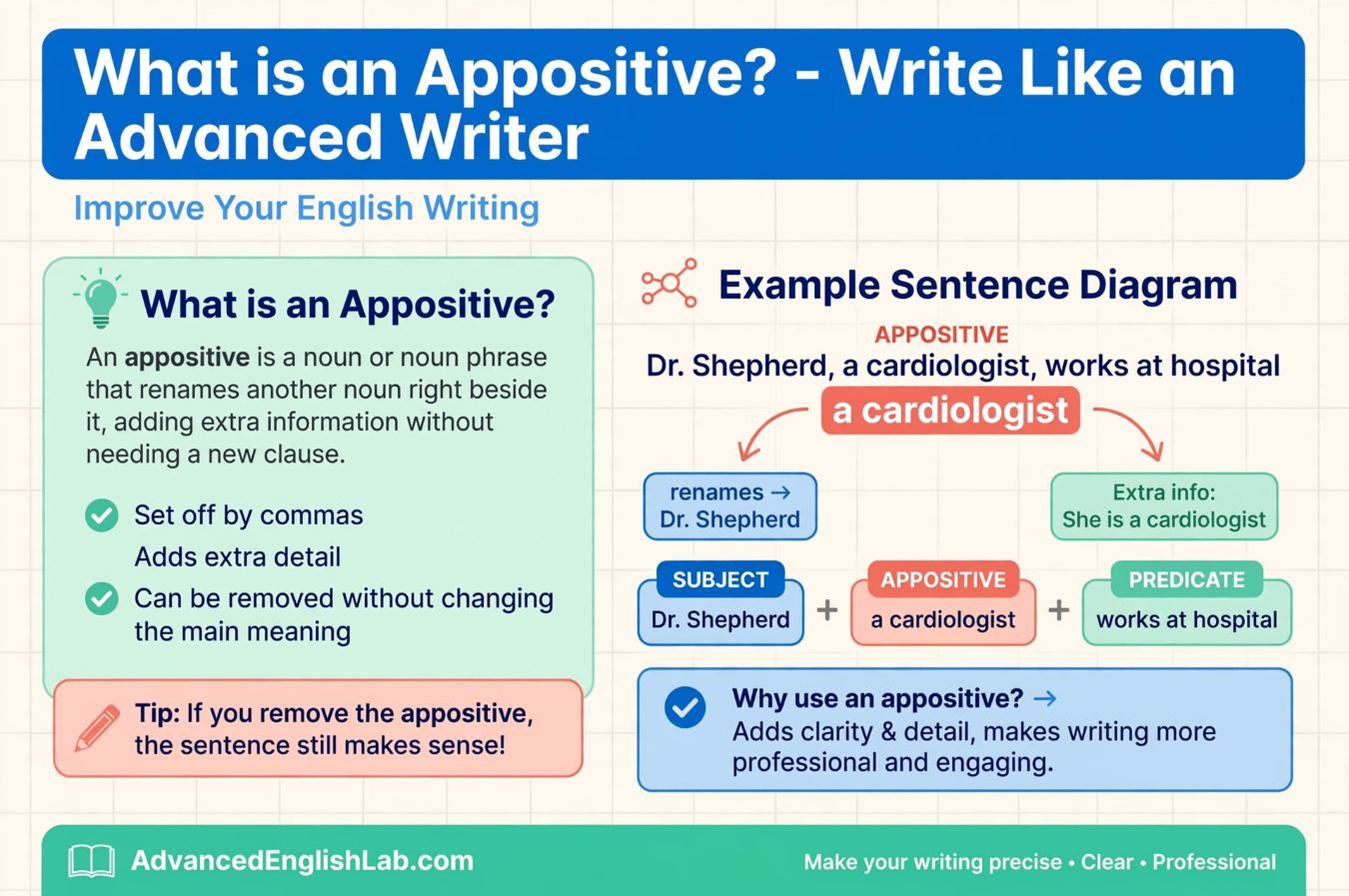 What Is an Appositive